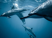 2026世界杯比赛在线观看地址-U21国青热身取胜炉火未纯青 队员：默契程度待提升